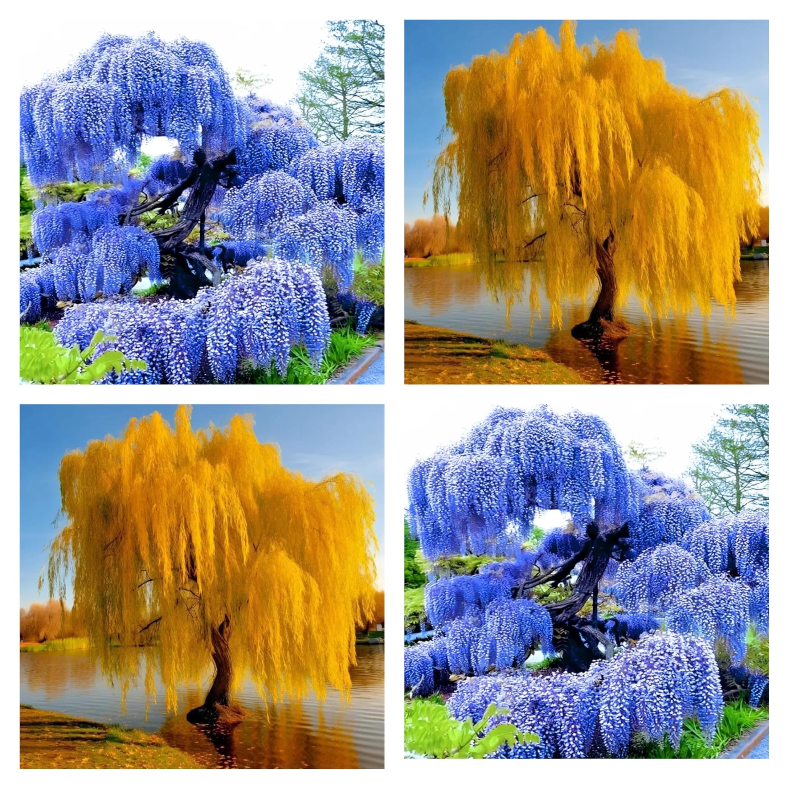 アウガルテン　Willow アウガルテン Willow Vynxaria 84in Artificial Willow Tree in